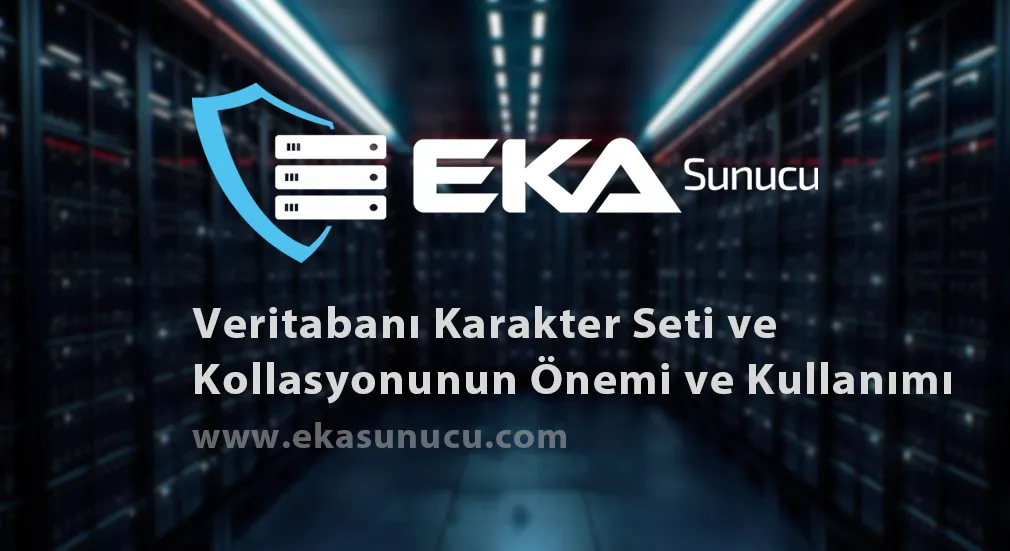 Veritabanı Karakter Seti ve Kollasyonunun Önemi ve Kullanımı