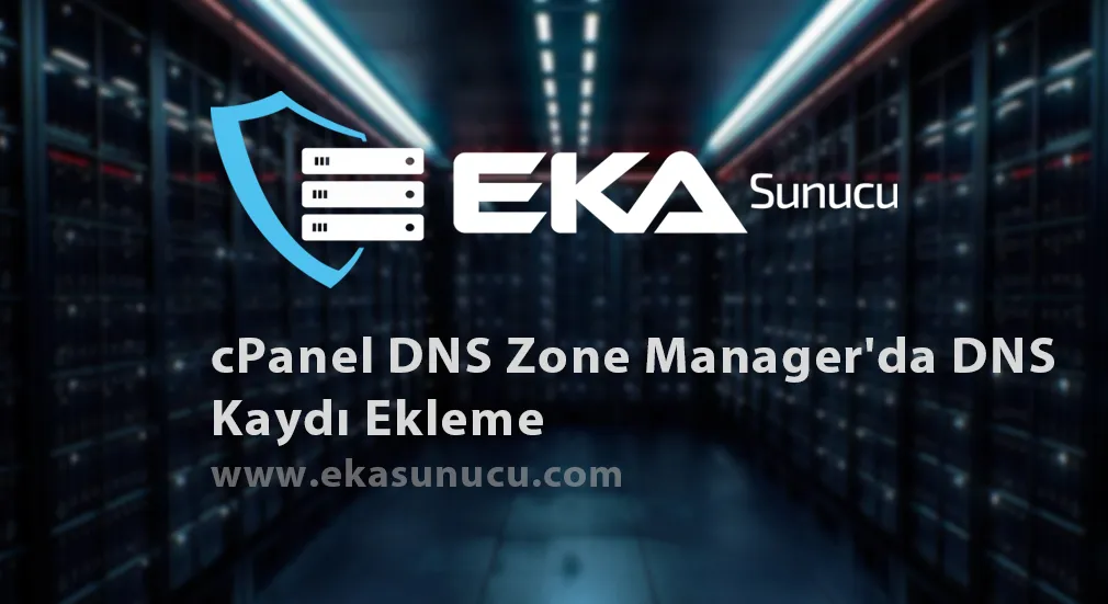 cPanel DNS Zone Manager'da DNS Kaydı Ekleme