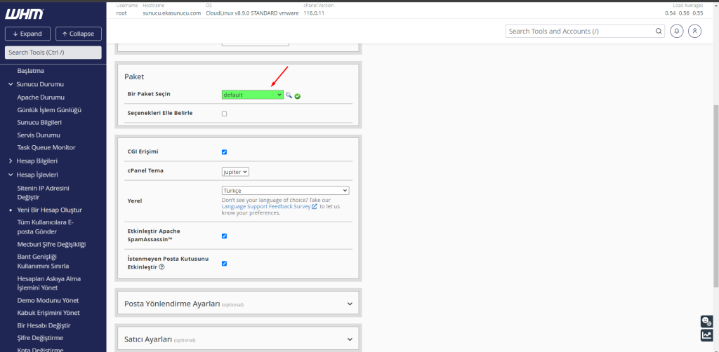 WHM Üzerinden cPanel Hesabı Oluşturma Adımları