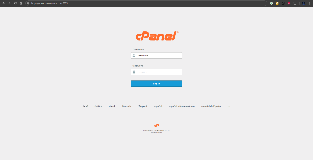 CPanel Üzerinden Subdomain (Alt Alan Adı) Oluşturma