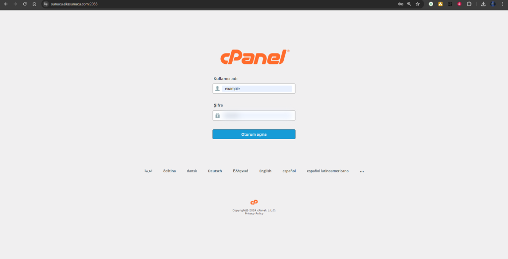 cPanel DNS Zone Manager'da DNS Kaydı Ekleme