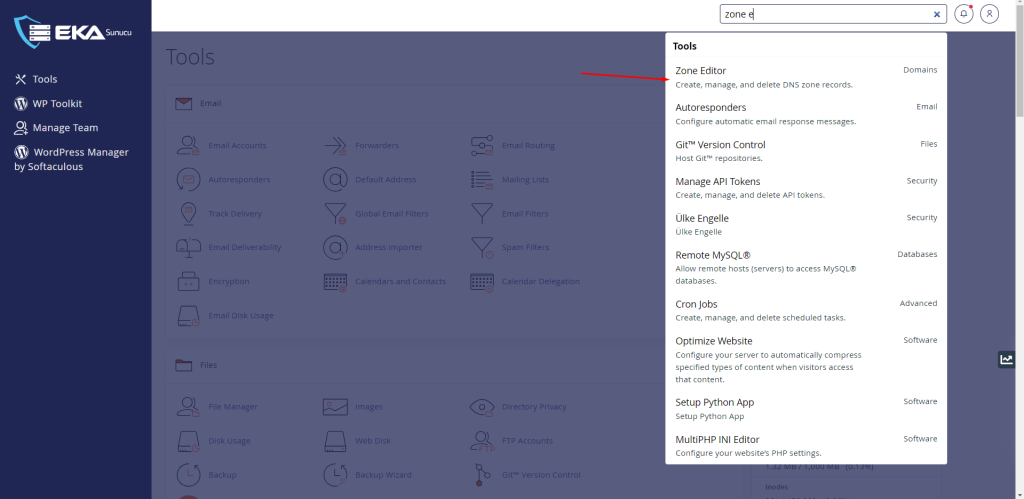 cPanel DNS Zone Manager'da DNS Kaydı Ekleme