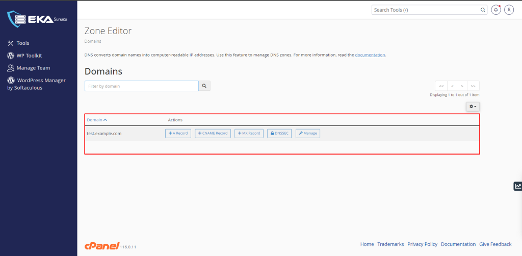 cPanel DNS Zone Manager'da DNS Kaydı Ekleme