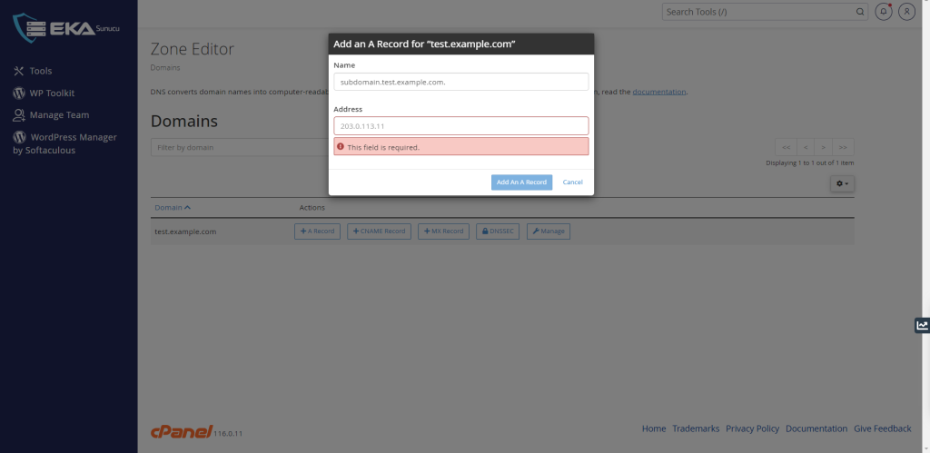 cPanel DNS Zone Manager'da DNS Kaydı Ekleme