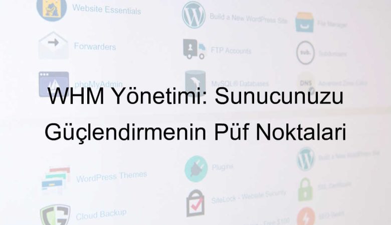 WHM yönetimi