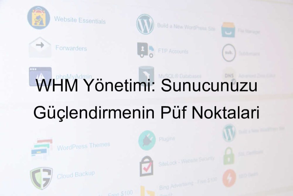 WHM yönetimi