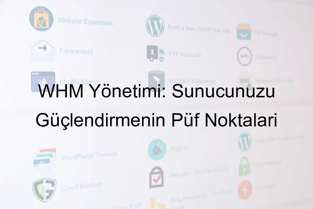 WHM yönetimi